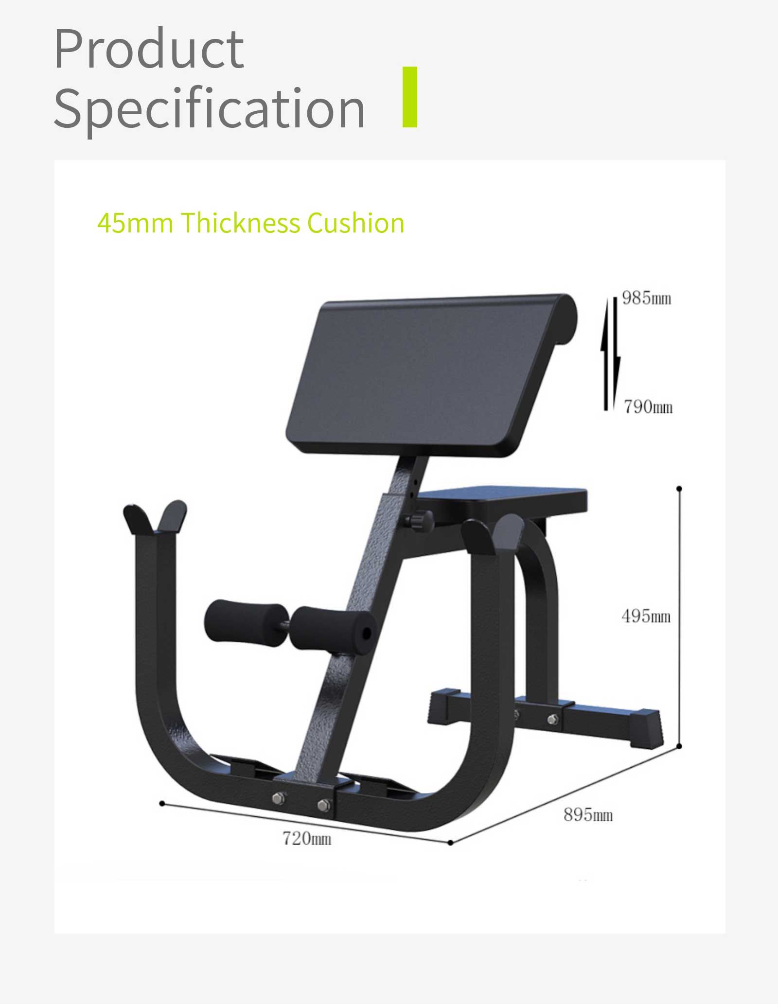 Multifunctional Biceps Training Rack