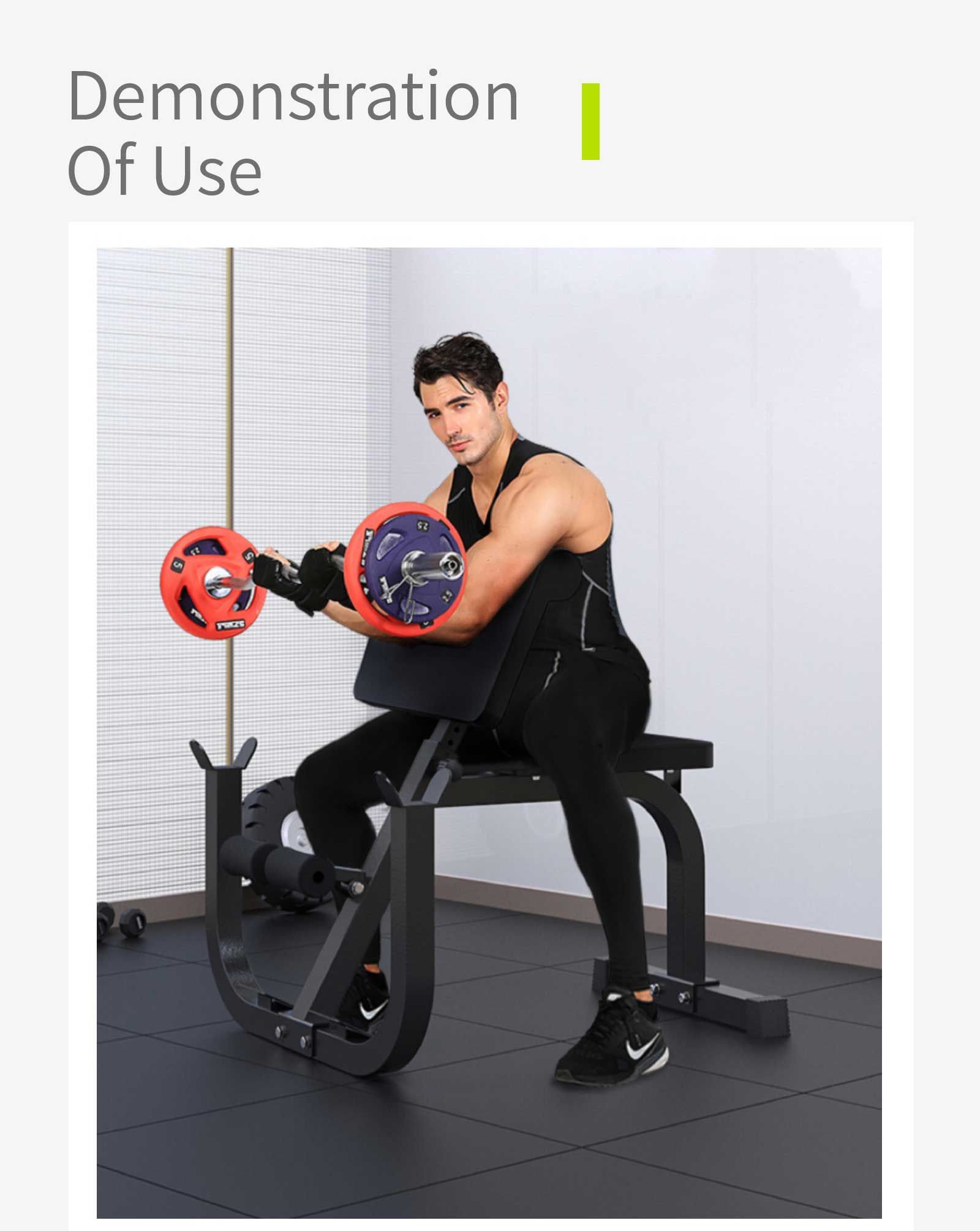 Multifunctional Biceps Training Rack
