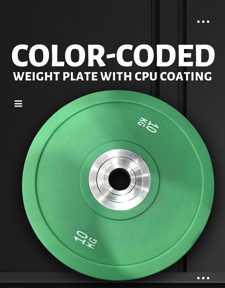 Colored Bumper Plates (LB)