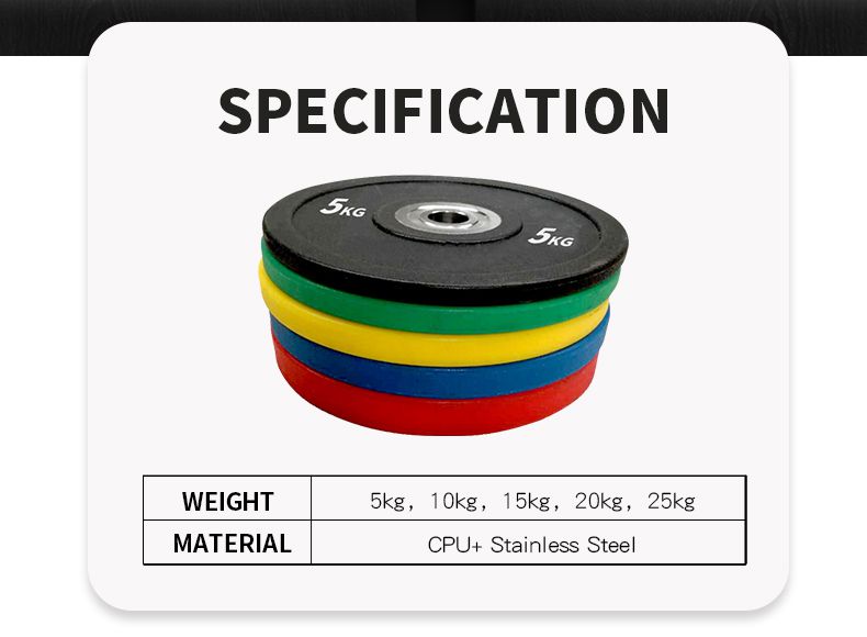 Colored Bumper Plates (LB)