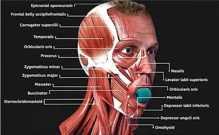 تحسين مؤشر السعادة-مصنع مدرب الجواهر-تعال واخترنا تحسين مؤشر السعادة-مصنع مدرب الجواهر-تعال واخترنا