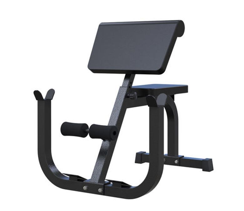 Multifunctional Biceps Training Rack