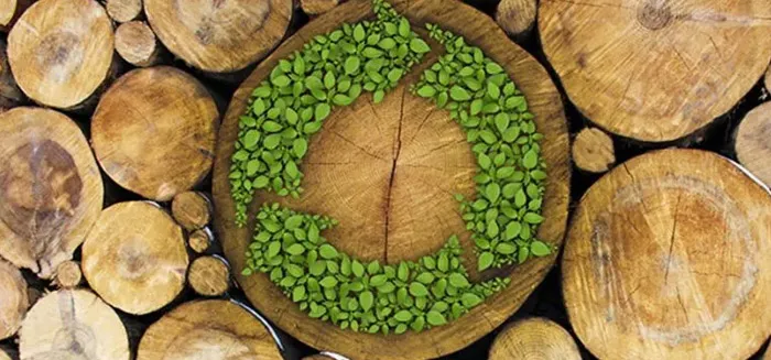 مواد مستدامة