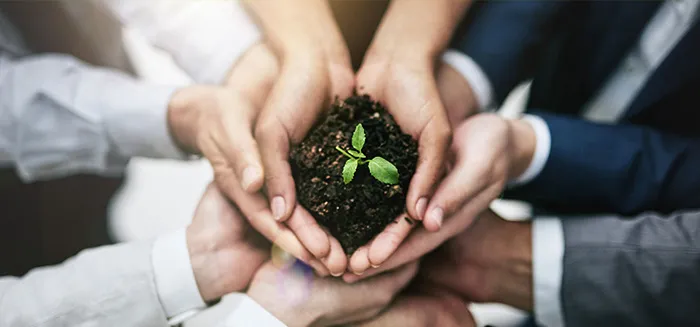 مصادر الطاقة المتجددة